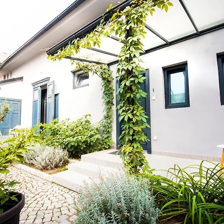Apartmani Sterija Novi Sad Exteriér fotografie